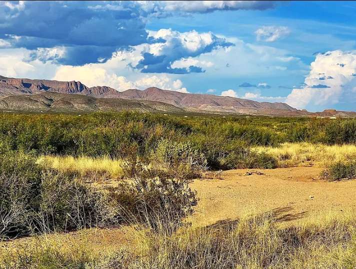 Vista De Las Montañas Terlingua