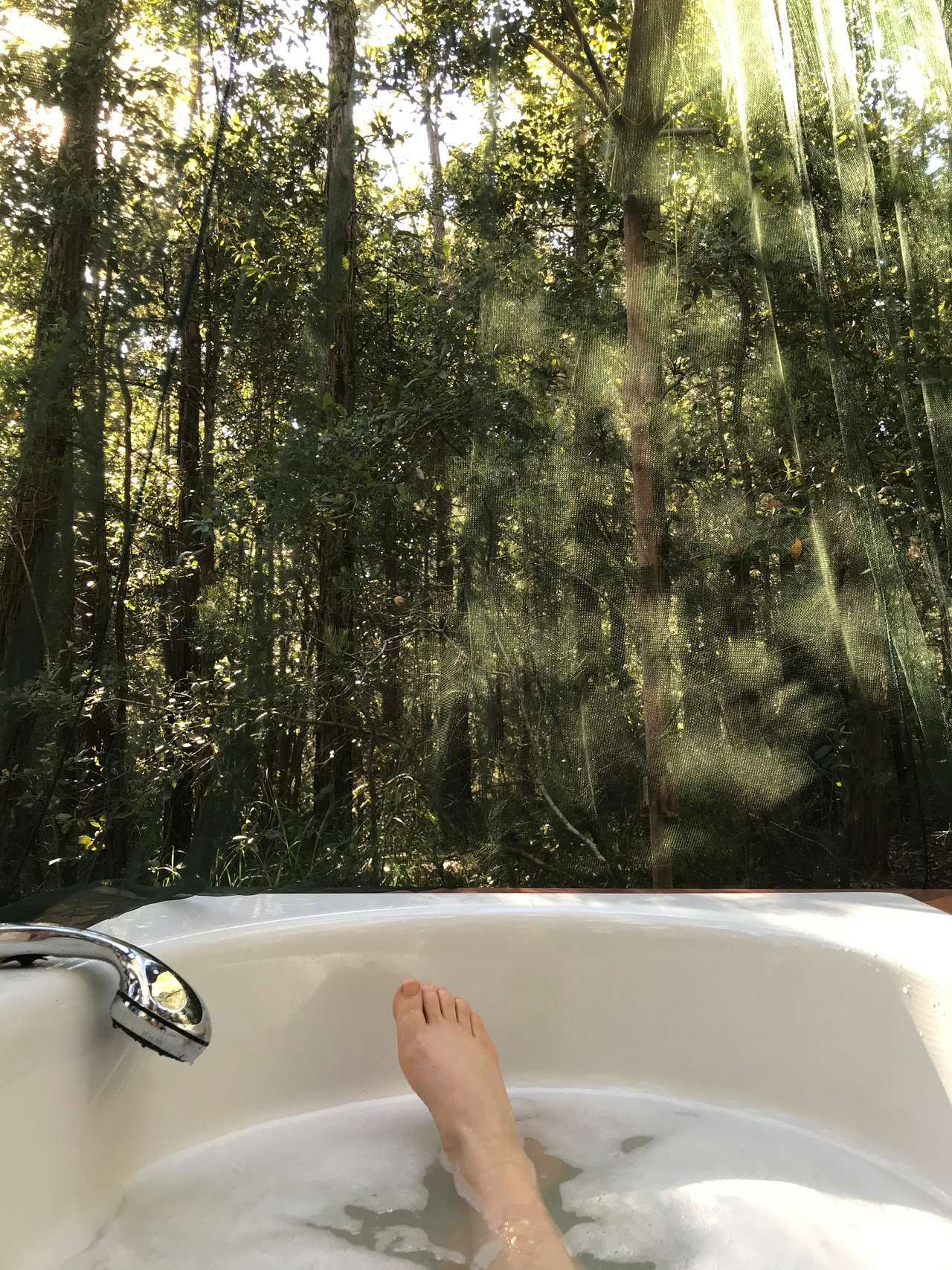 Tall trees create a canopy above, their branches swaying in the breeze. In this serene setting, you feel a profound sense of peace and connection to the natural world.