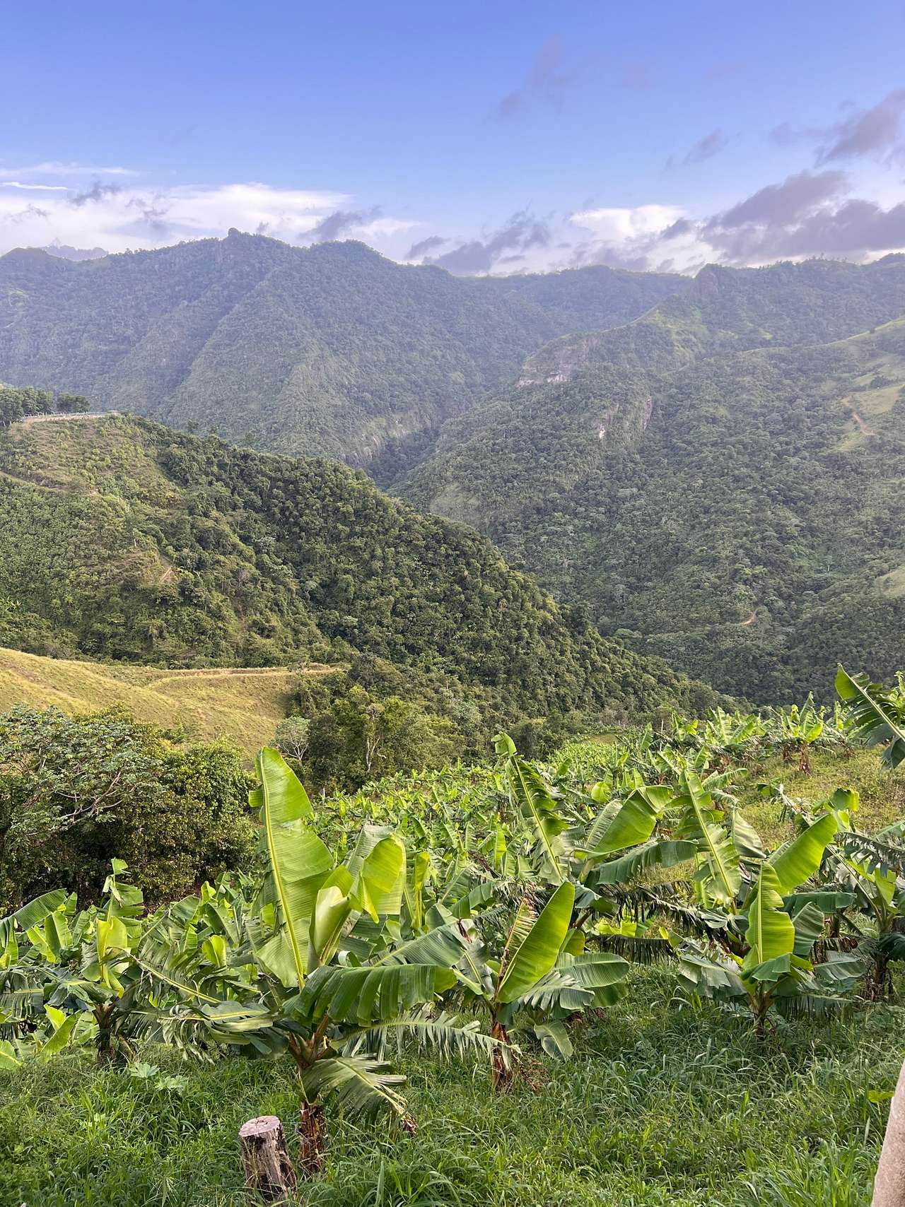 Finca Uateke
