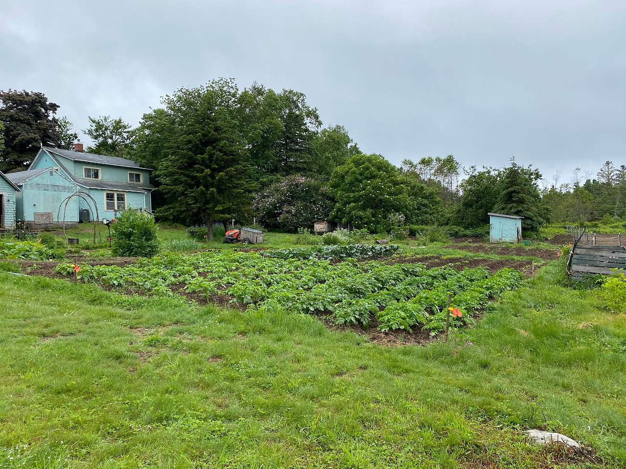 Mother Mushroom Brewery & Farmstay