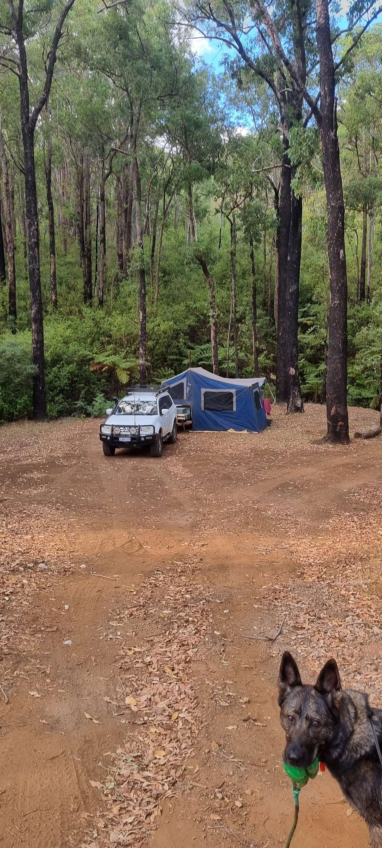 Dougy's Den