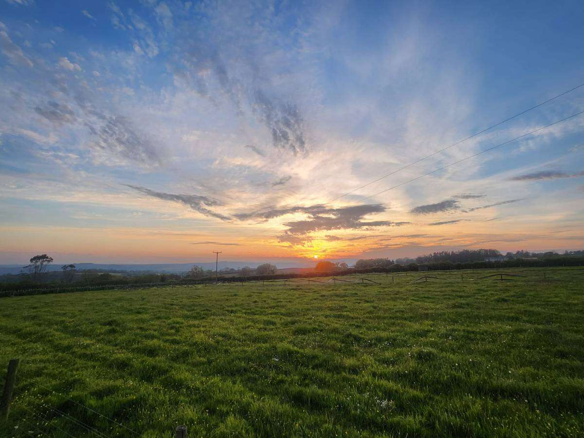 Harlings - camping in Devon