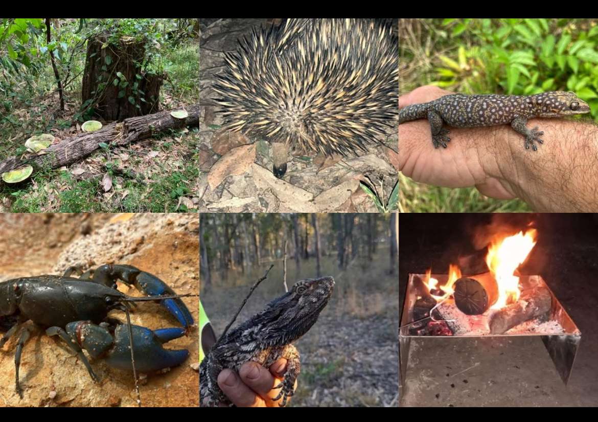 Award winning Childers Nature Camp