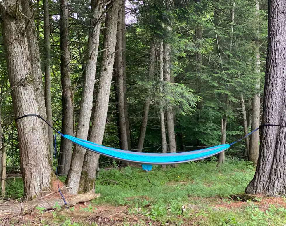 Animal Sanctuary Retreat