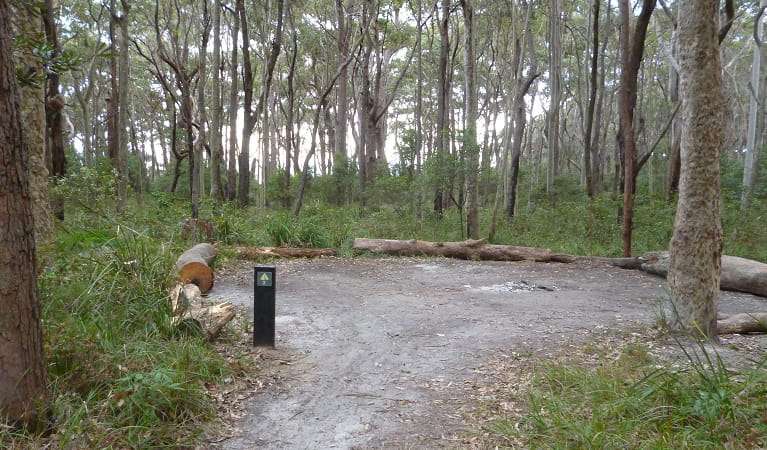 Meroo Head campground