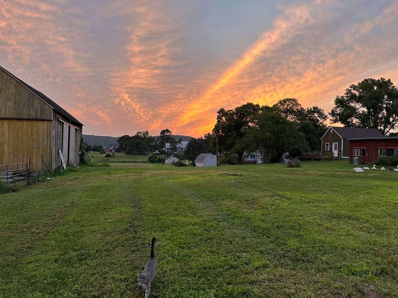Two Herons Farm