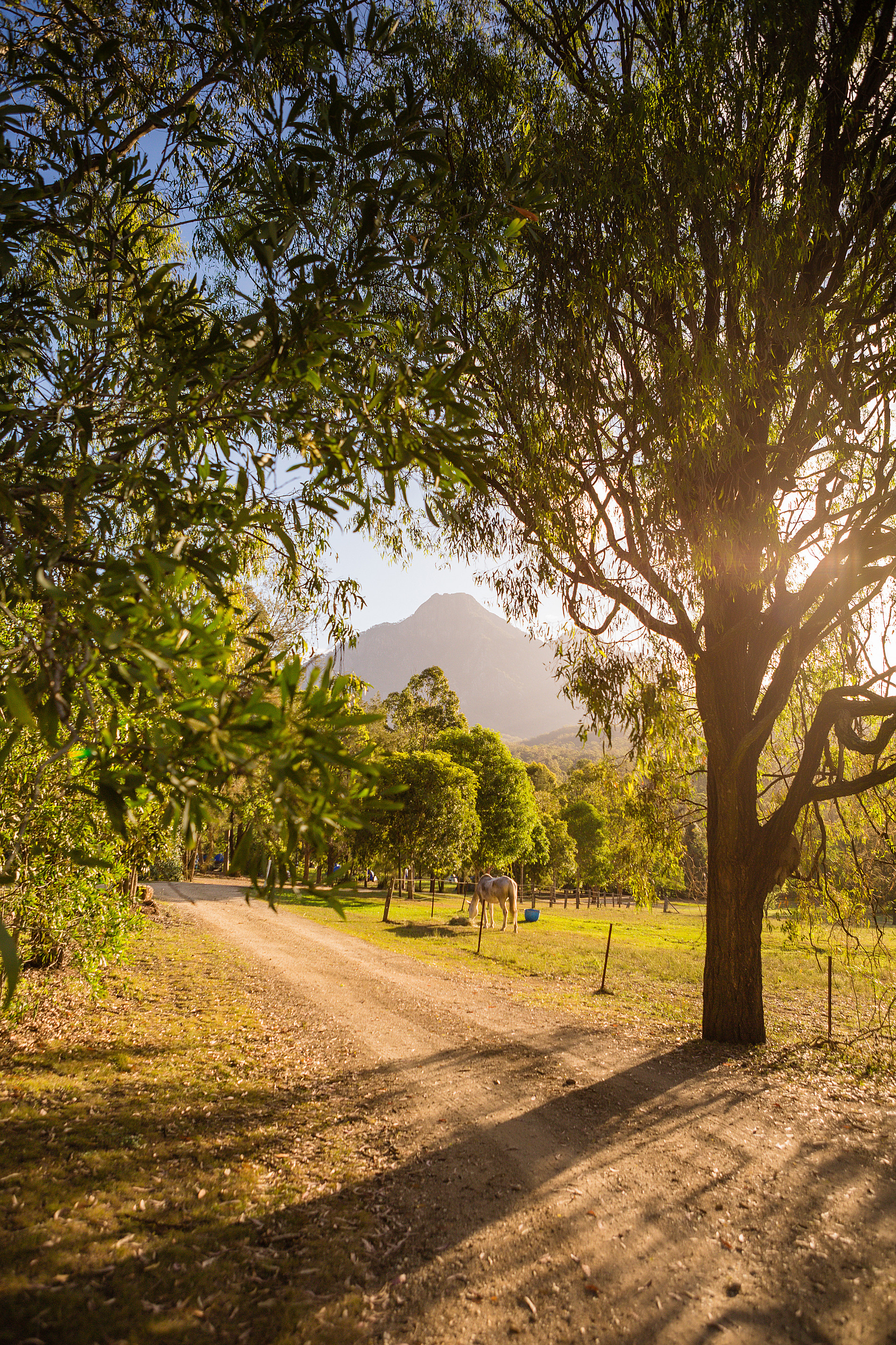 Mt Barney Lodge