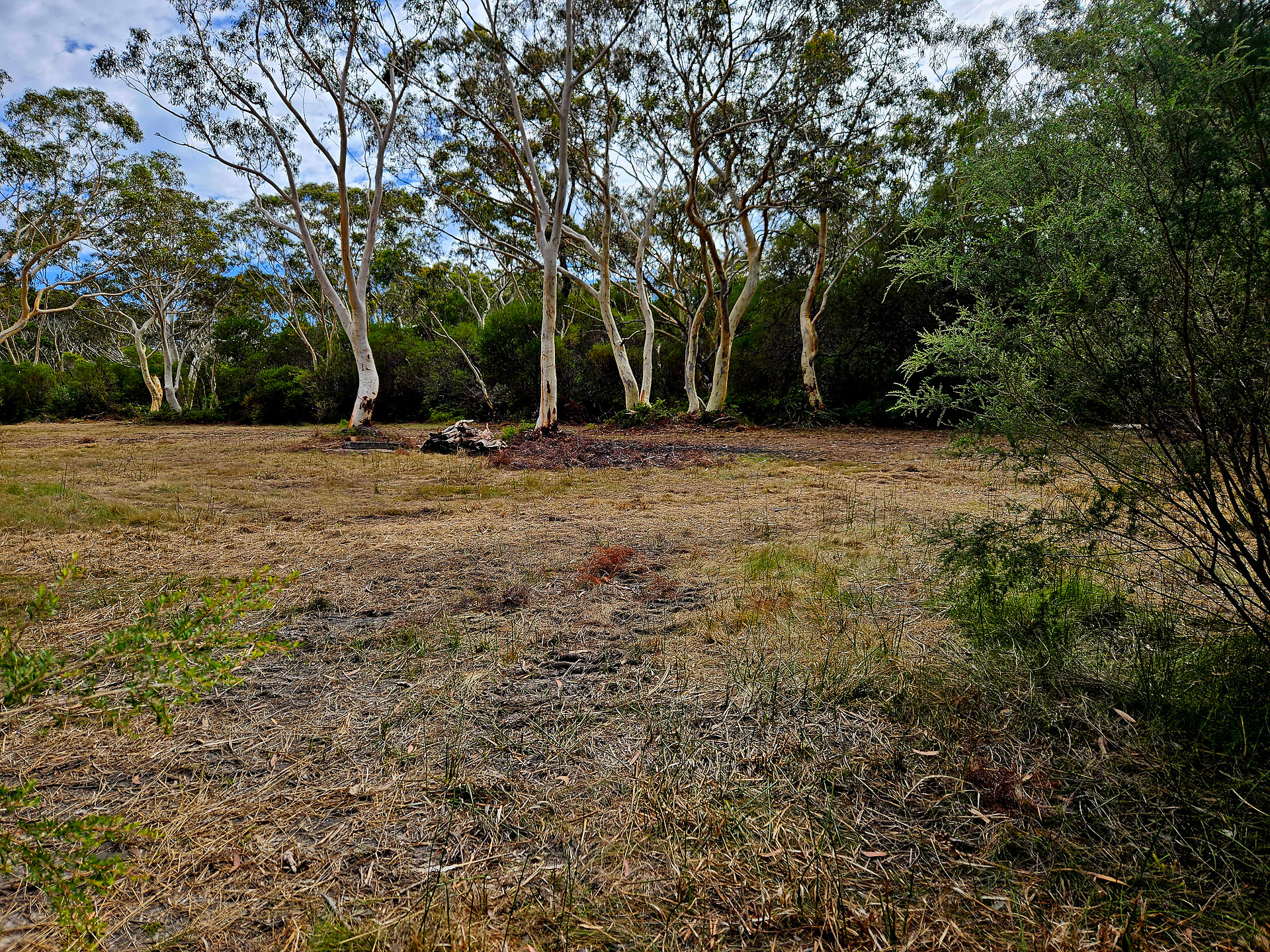 Camping area with fire pit and some wood.