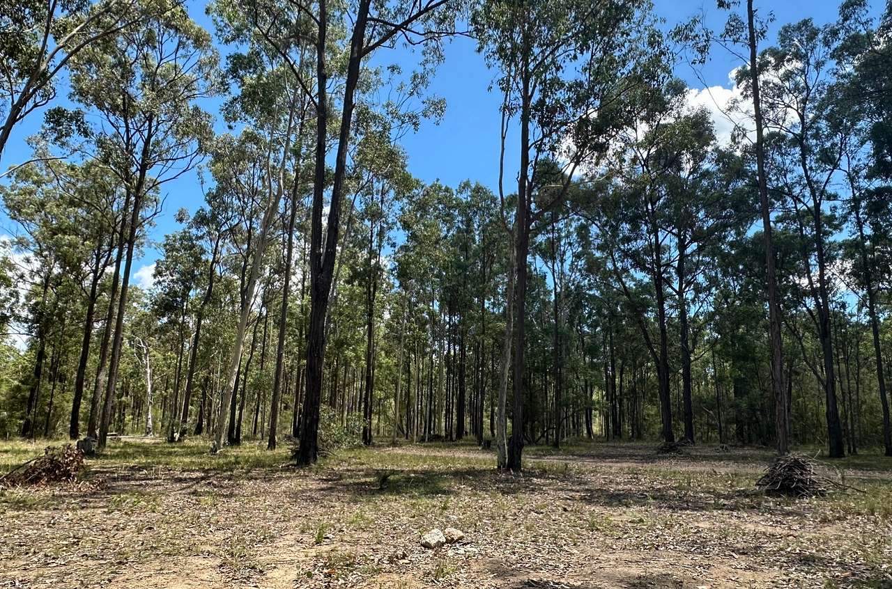 Ironbark Down