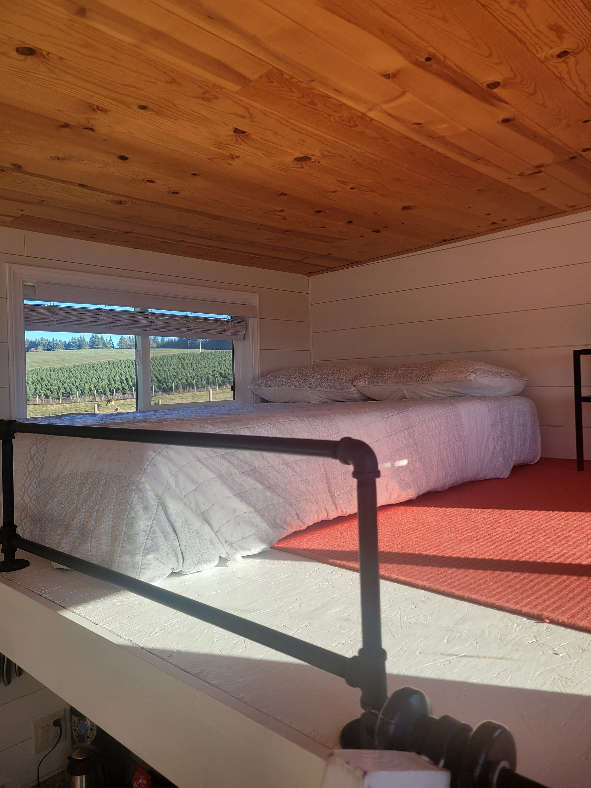 Buena Vista Lavender Farm