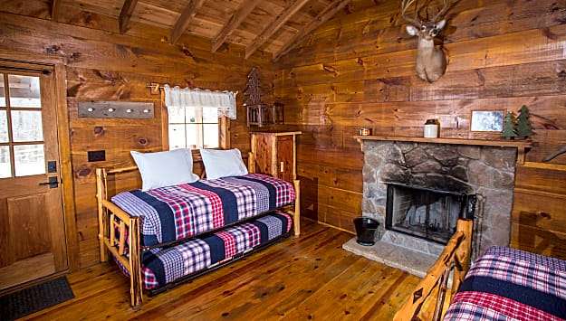 Premium Cabin
