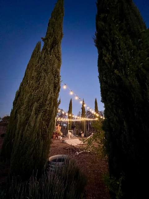 Dos Fernandos' Hideaway RV vineyard