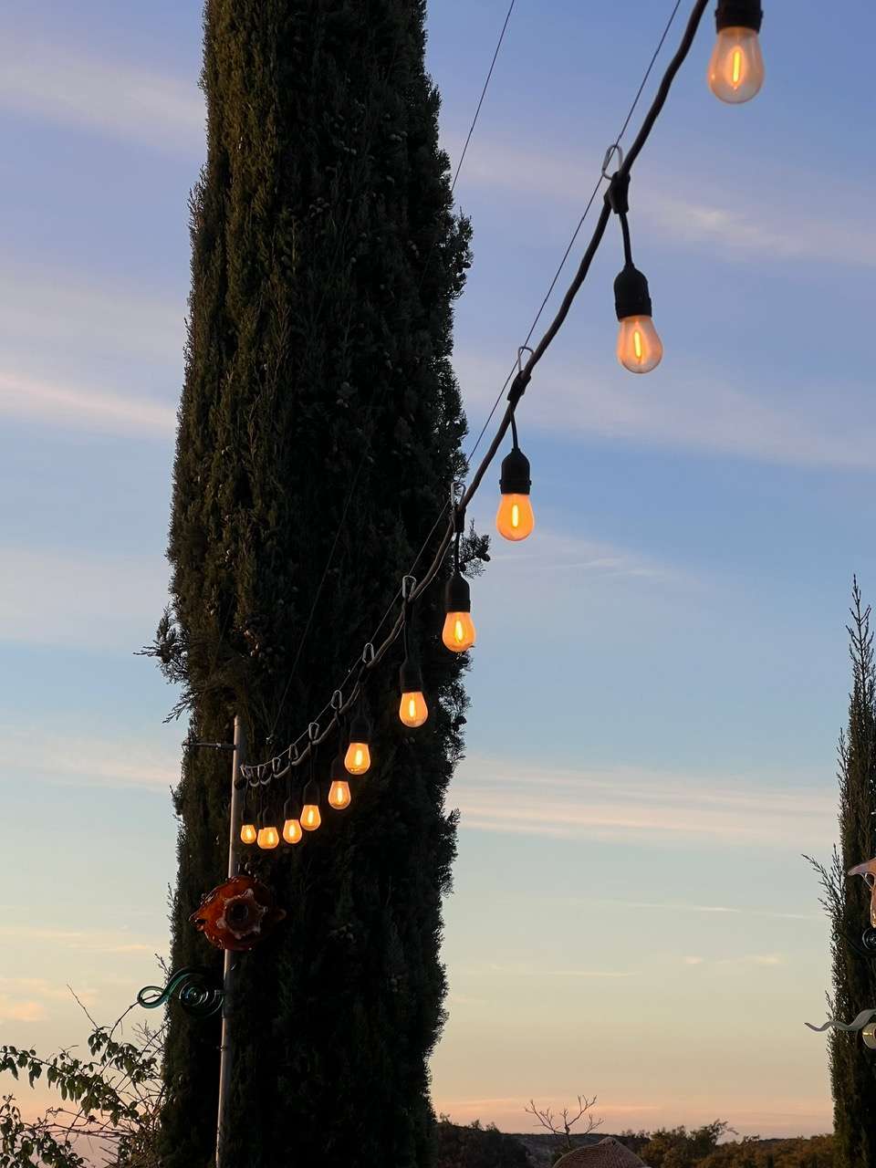 Dos Fernandos' Hideaway RV vineyard