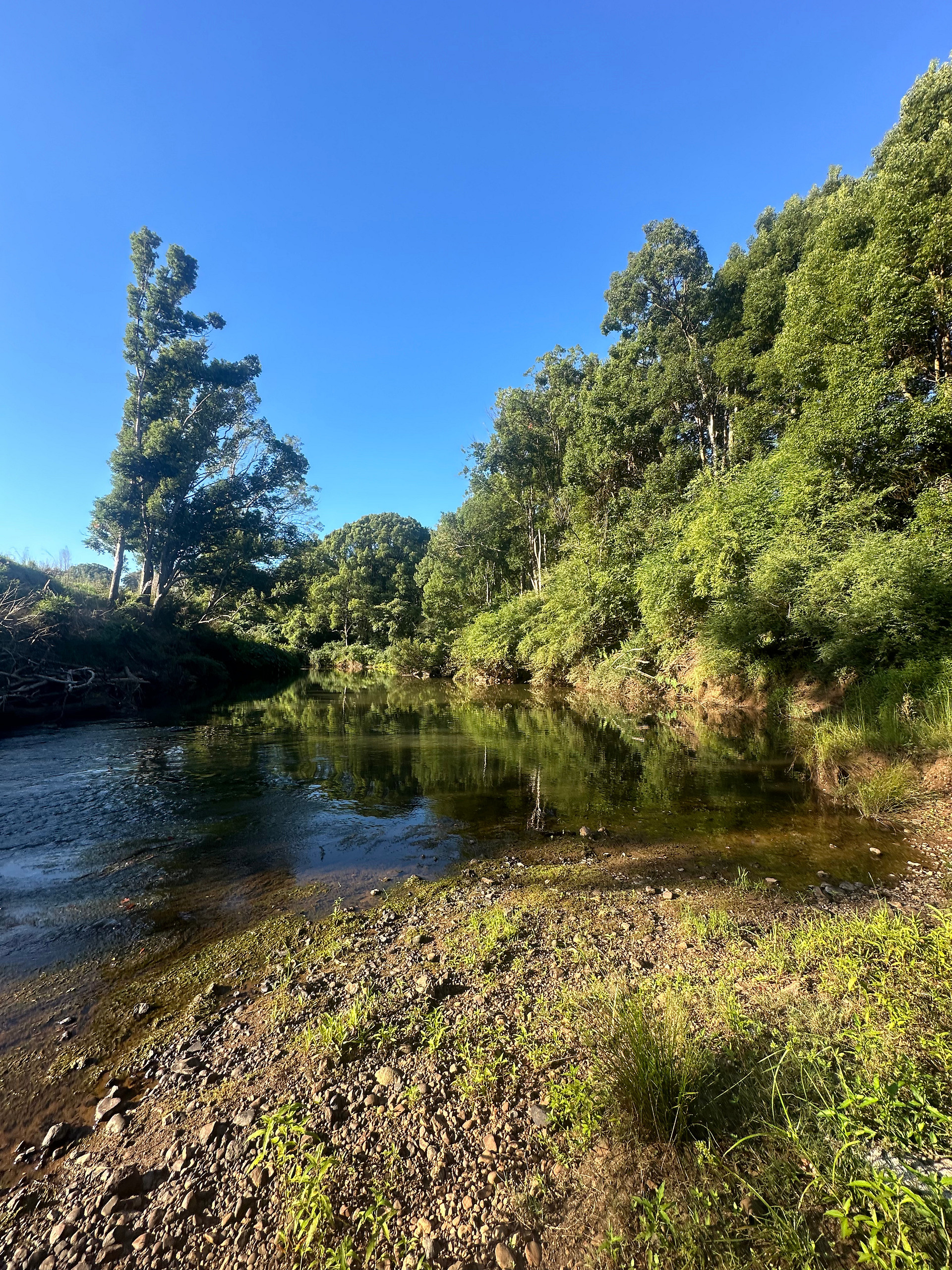 Wilson River Retreat
