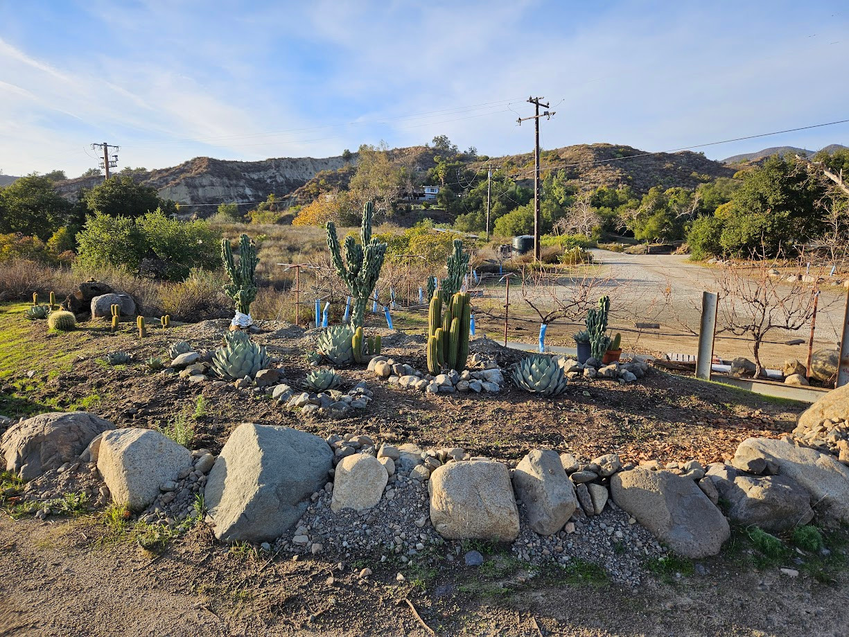 The Ranch