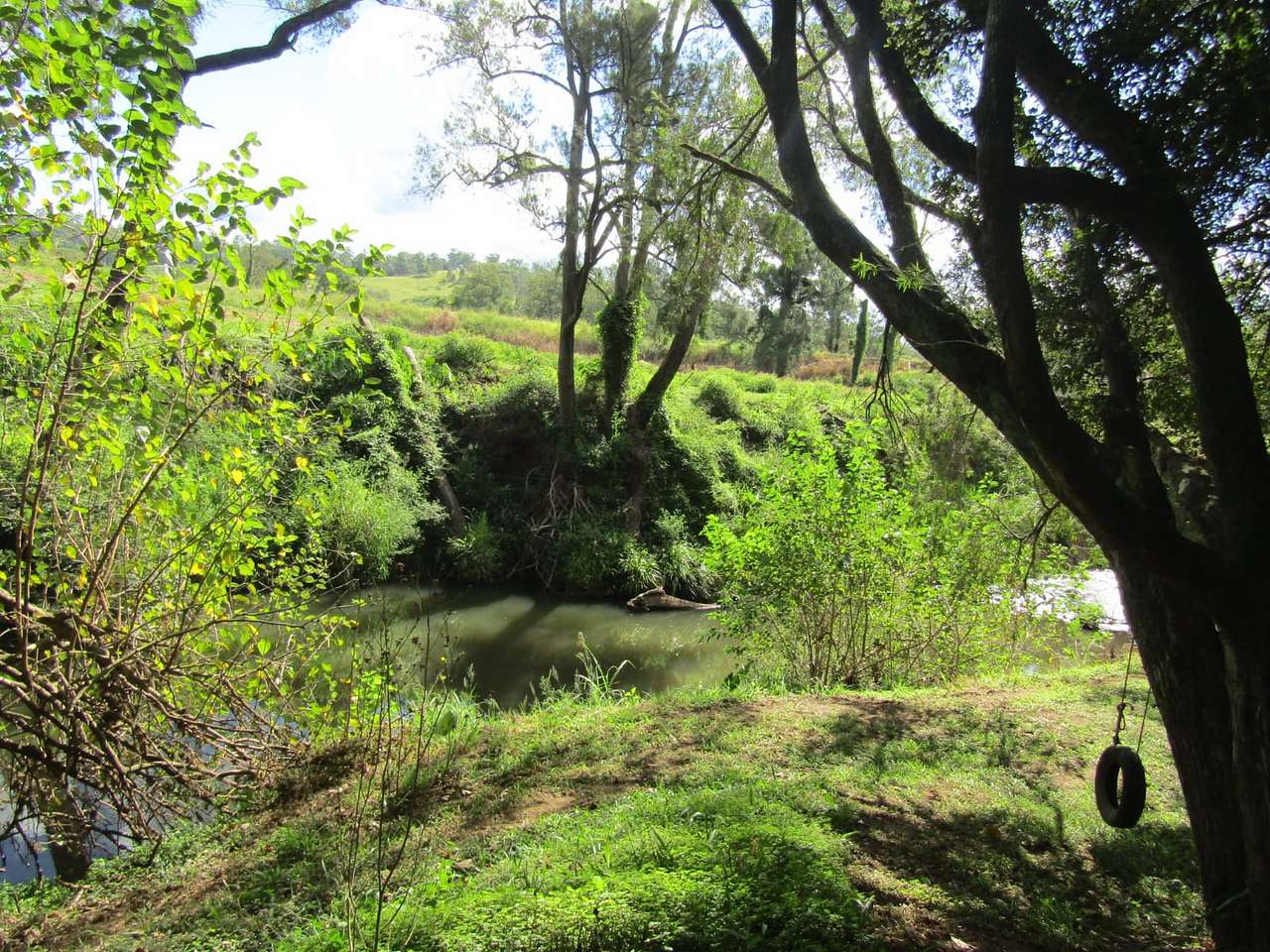 The Scrub on Lynchs creek