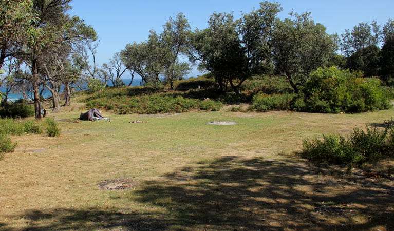 Middle Beach Campground
