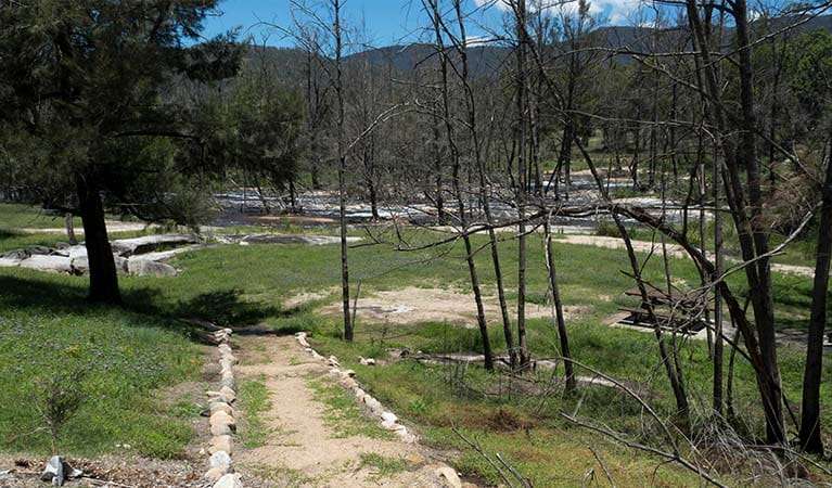 Mann River campground and picnic area