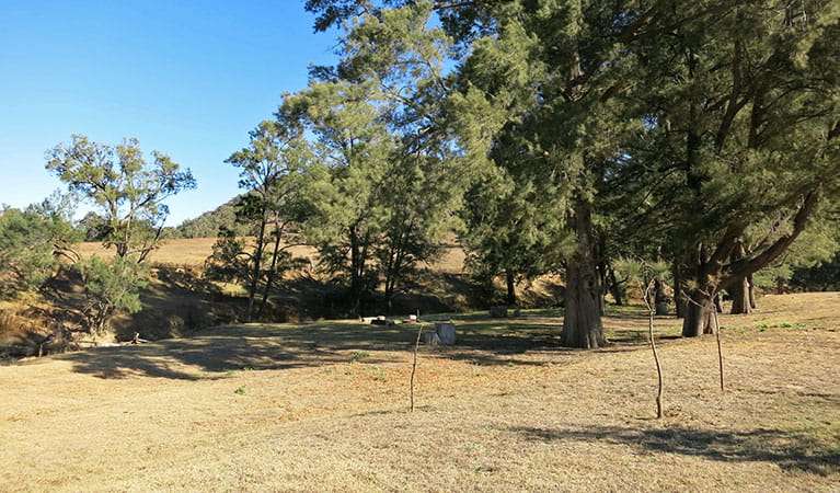 Capertee campground