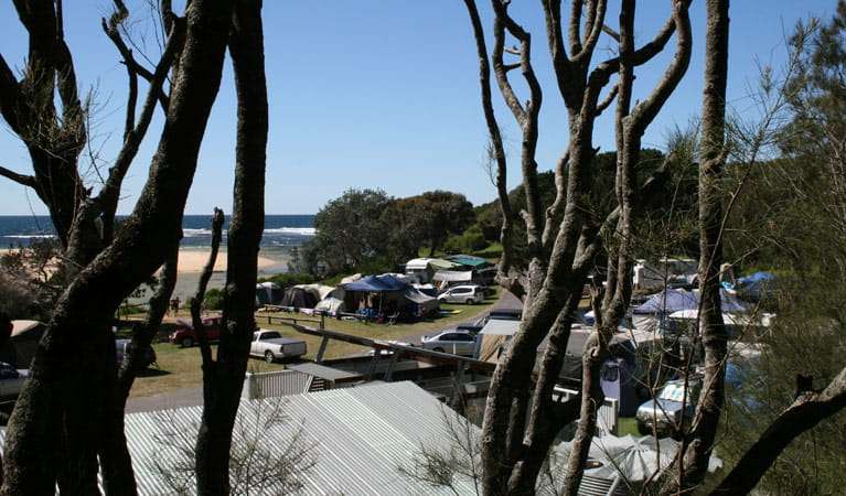Congo campground