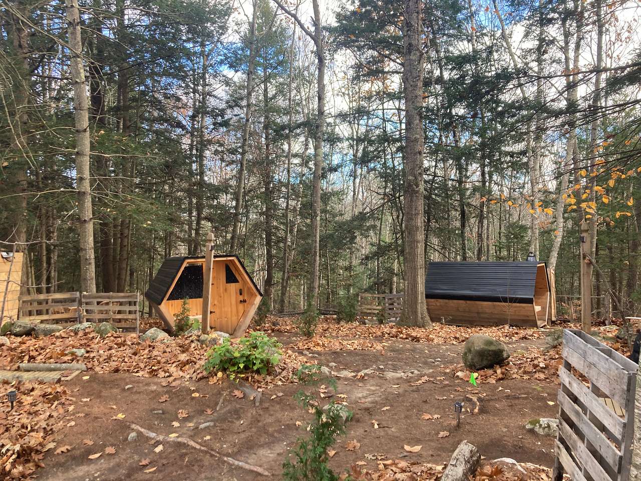 Runaround Woods Disc Golf & Cabins