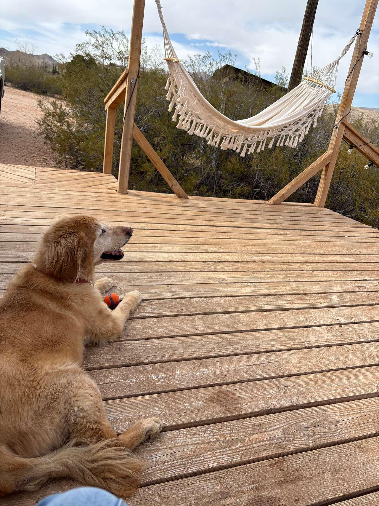 Great deck for the views