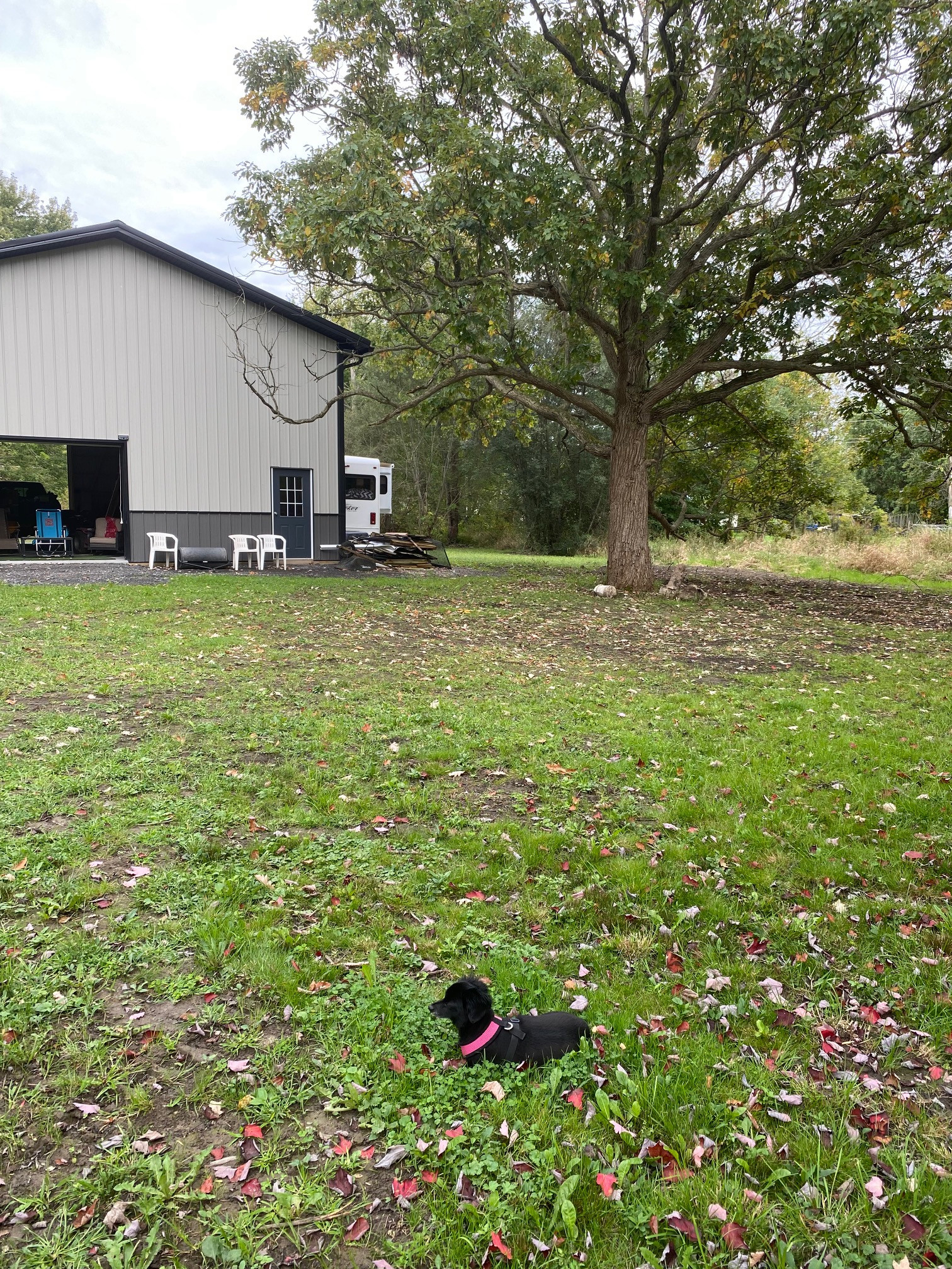 Bianca's Barn On Black Creek