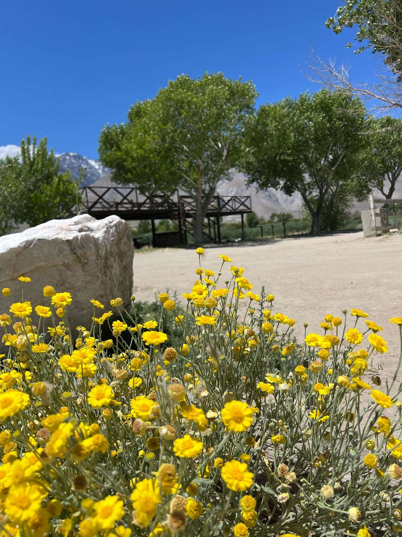 Lake Olancha RV Park Campground