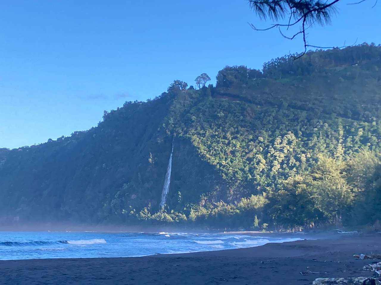 Waipio Farm To Table
