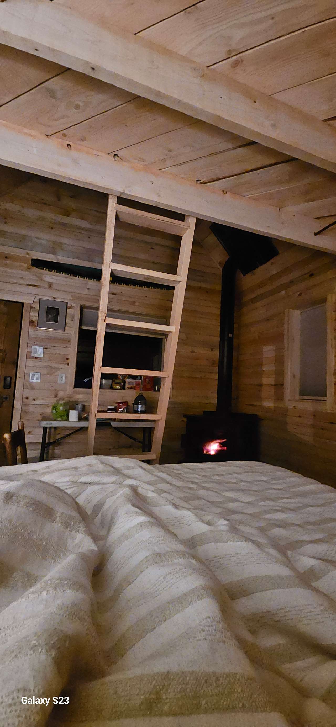 Bed views 