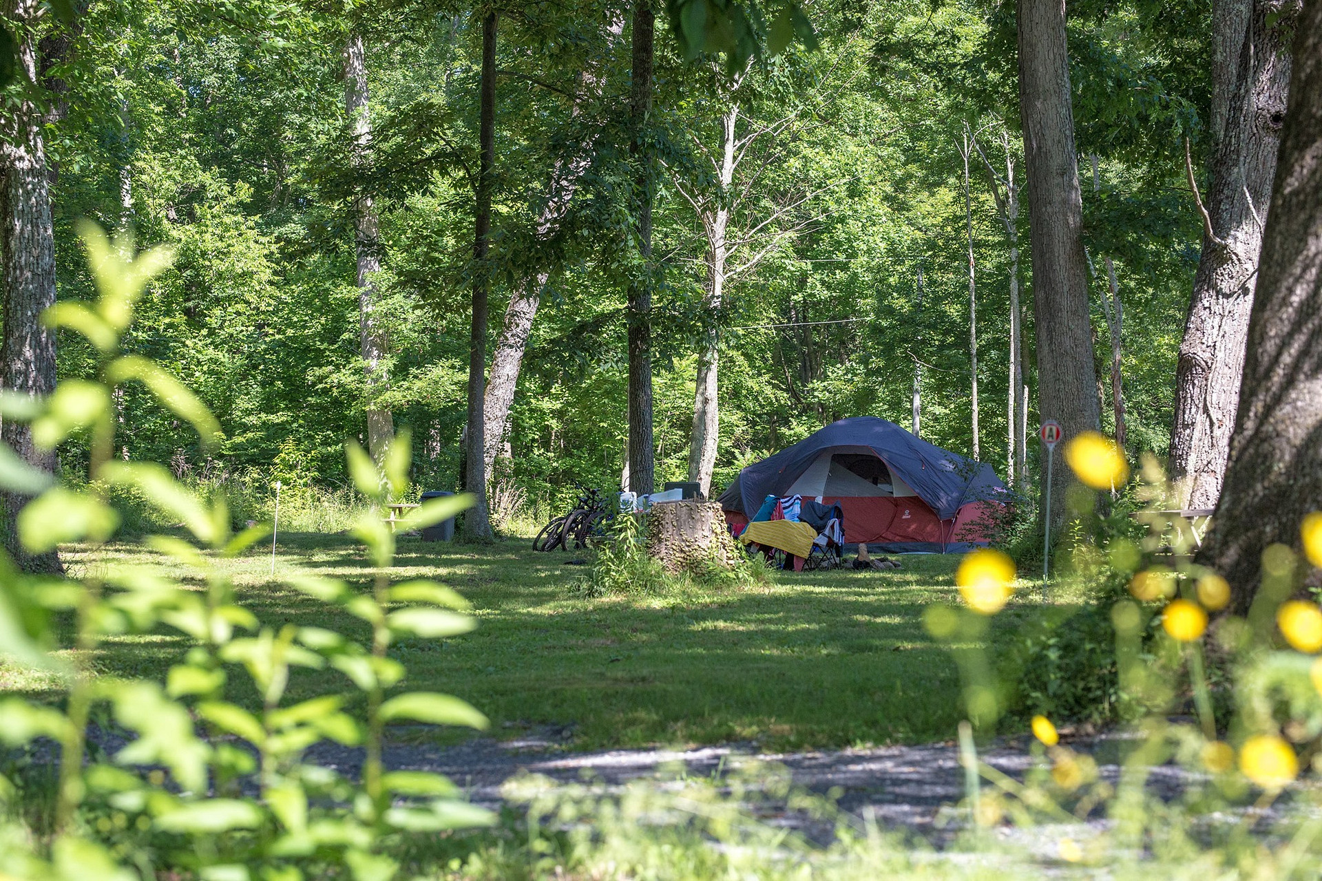 Arrowhead Bike Farm & Campground