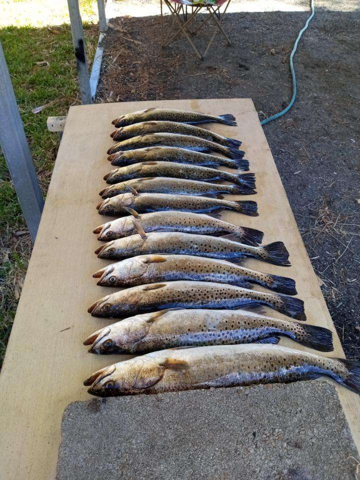 Limit out on Trout, Redfish, Scallops, Flounder, Sea Bass, etc.