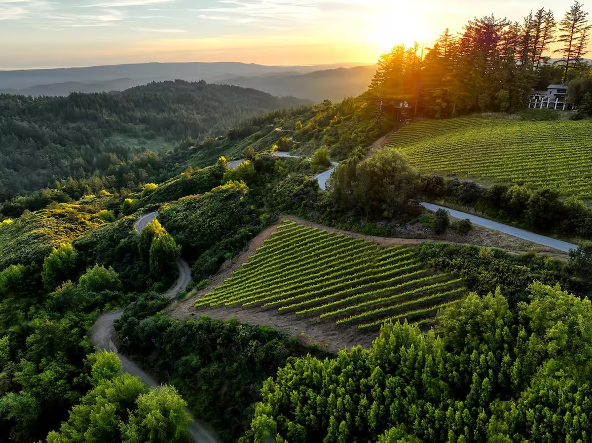 Epic Views at Lago Lomita Vineyards