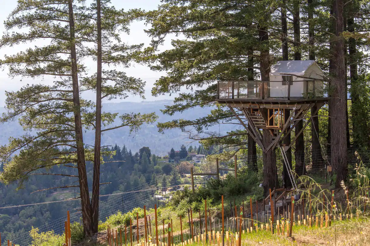 Epic Views at Lago Lomita Vineyards