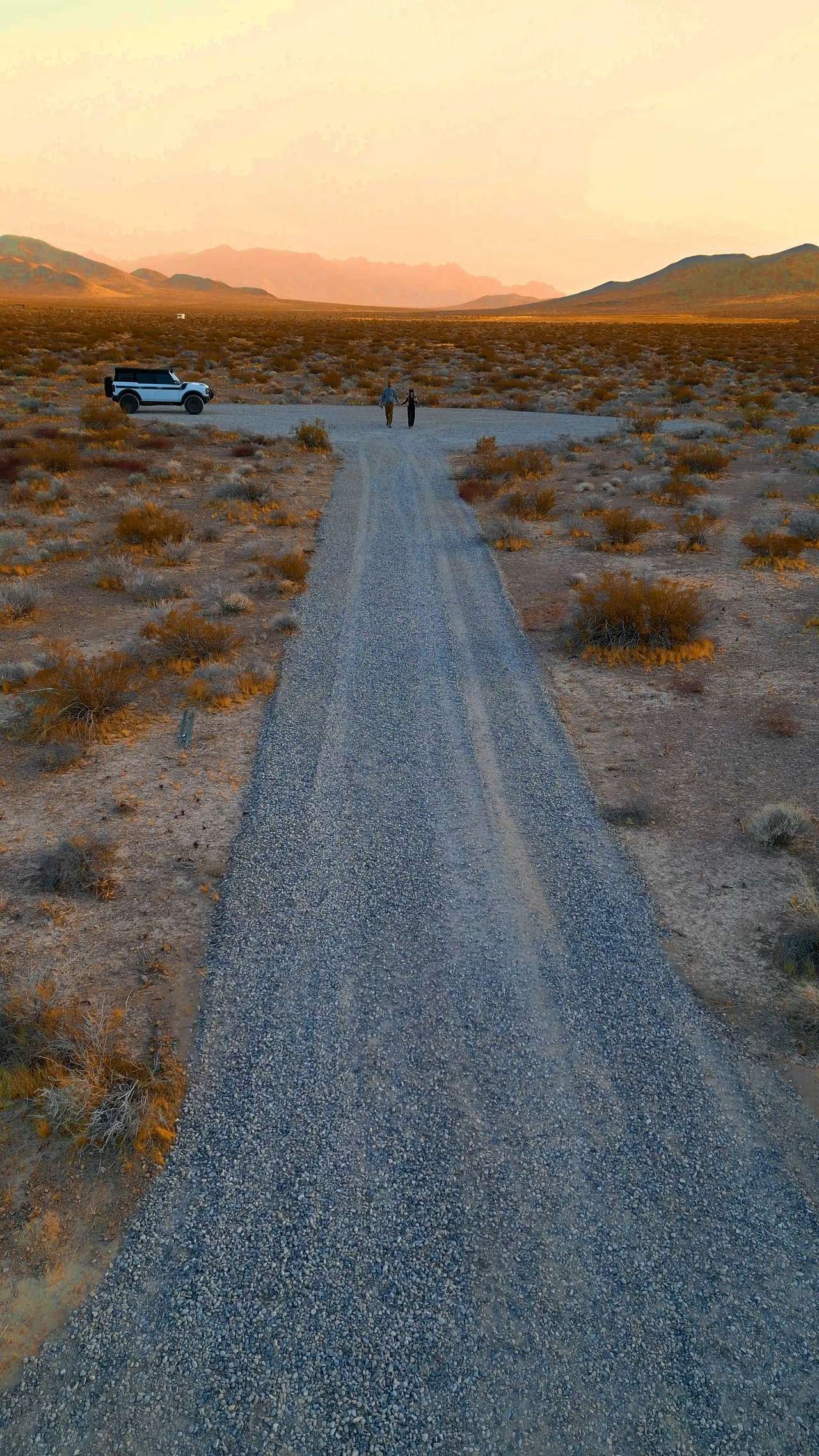 Dakota's Mojave Desert Oasis