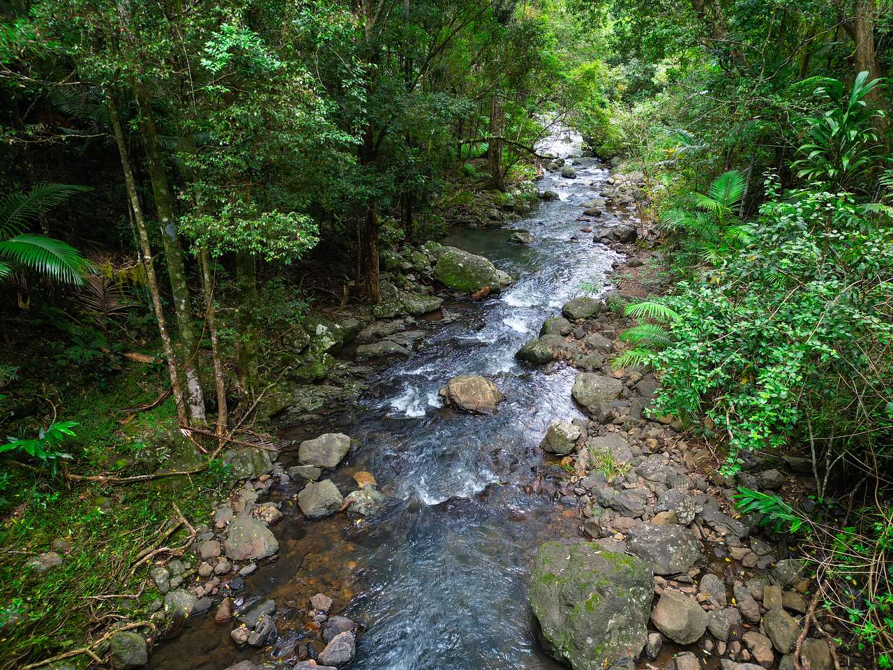 the rock pools