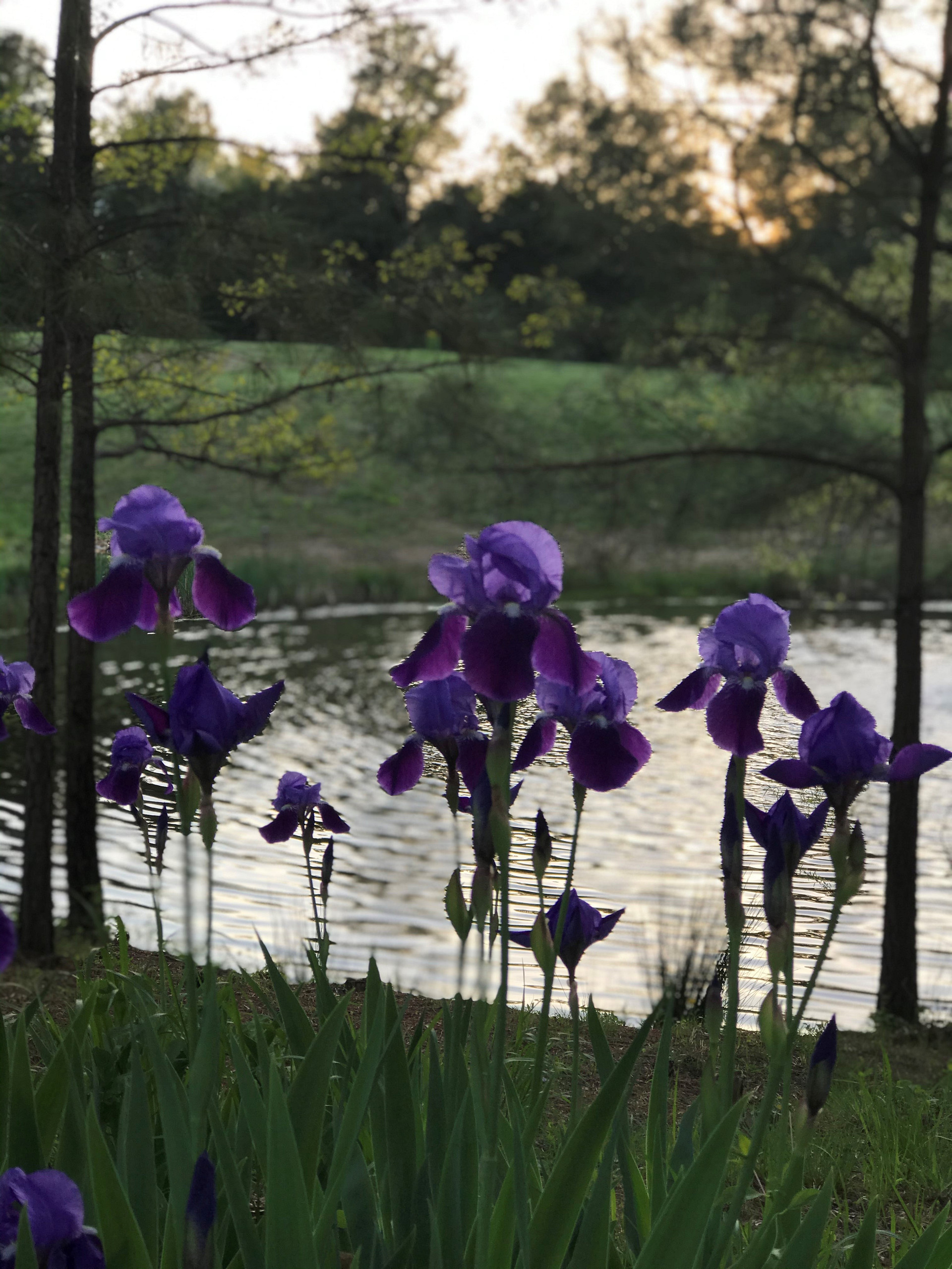 Tanglewood Campground & RV Resort