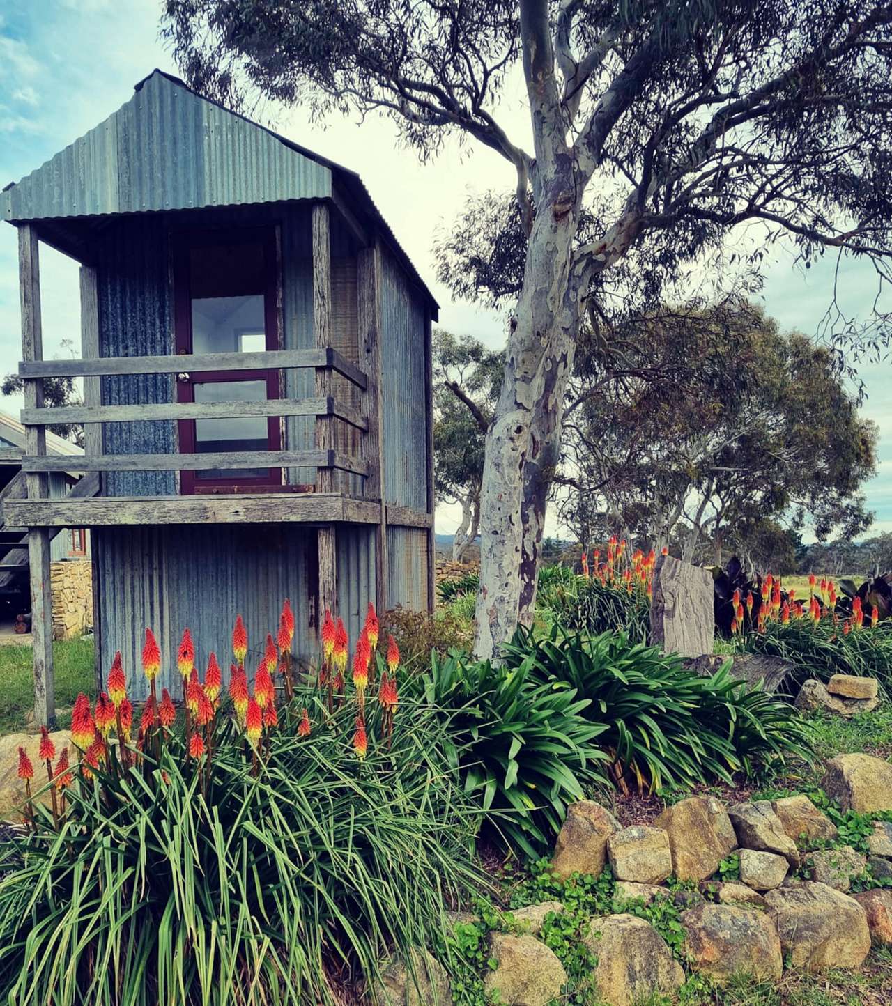 Black Duck Farm