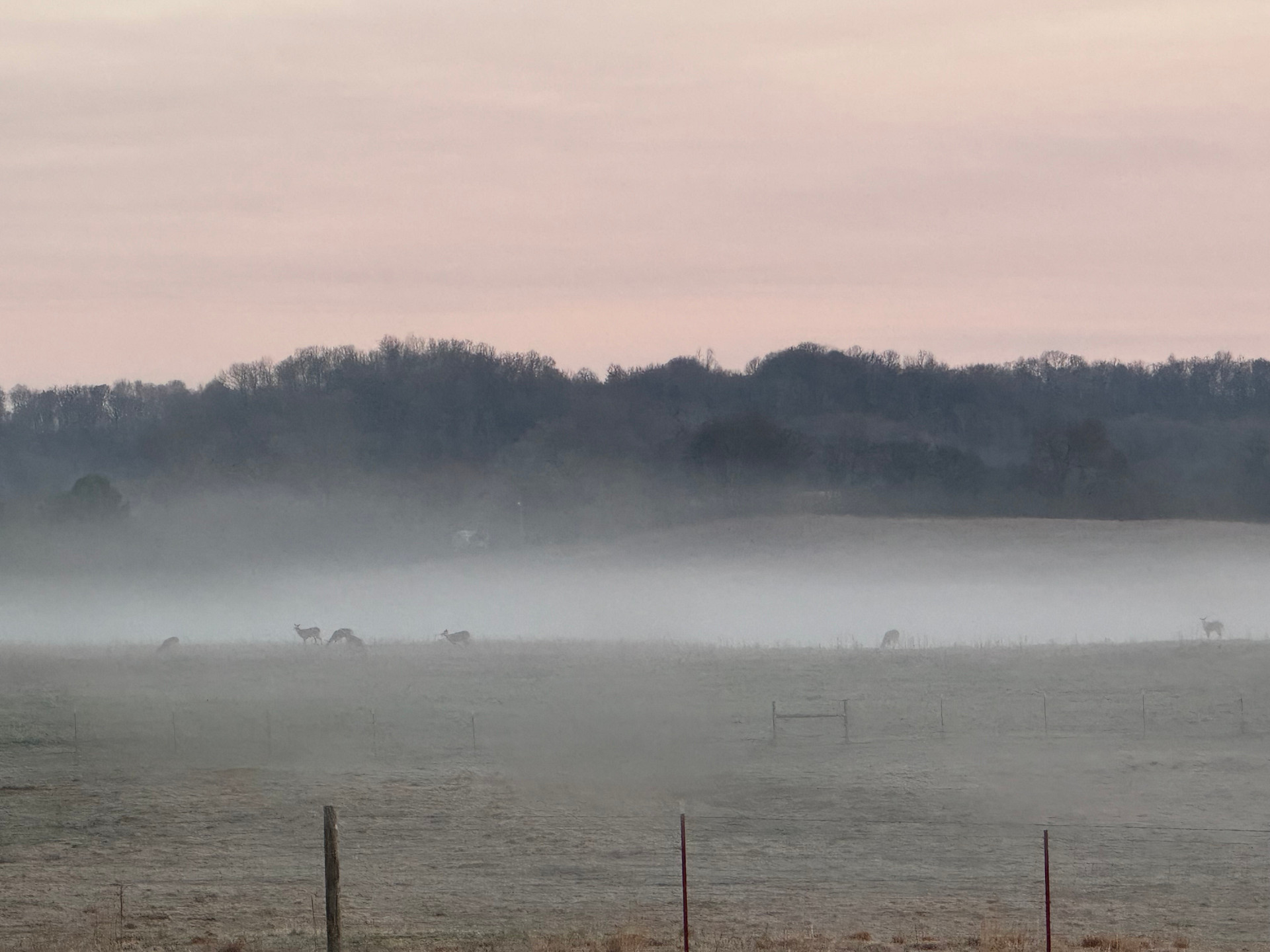 Hostetler Homestead