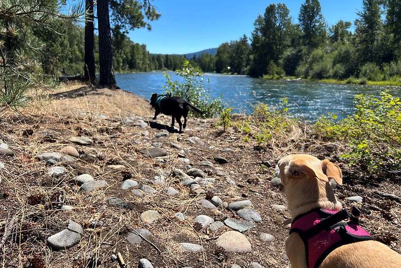 Whispering Pines Cle Elum RV Park and Campground