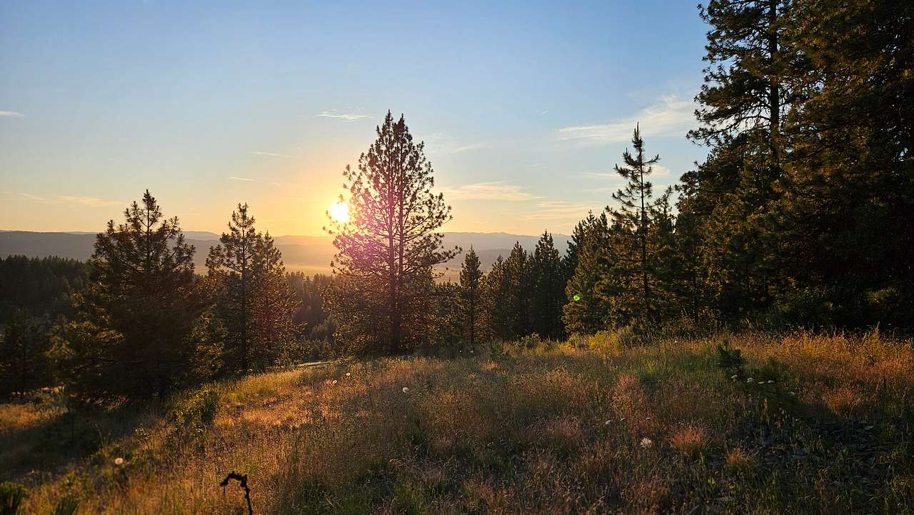 Off-Grid Camping Next To BLM/Forest