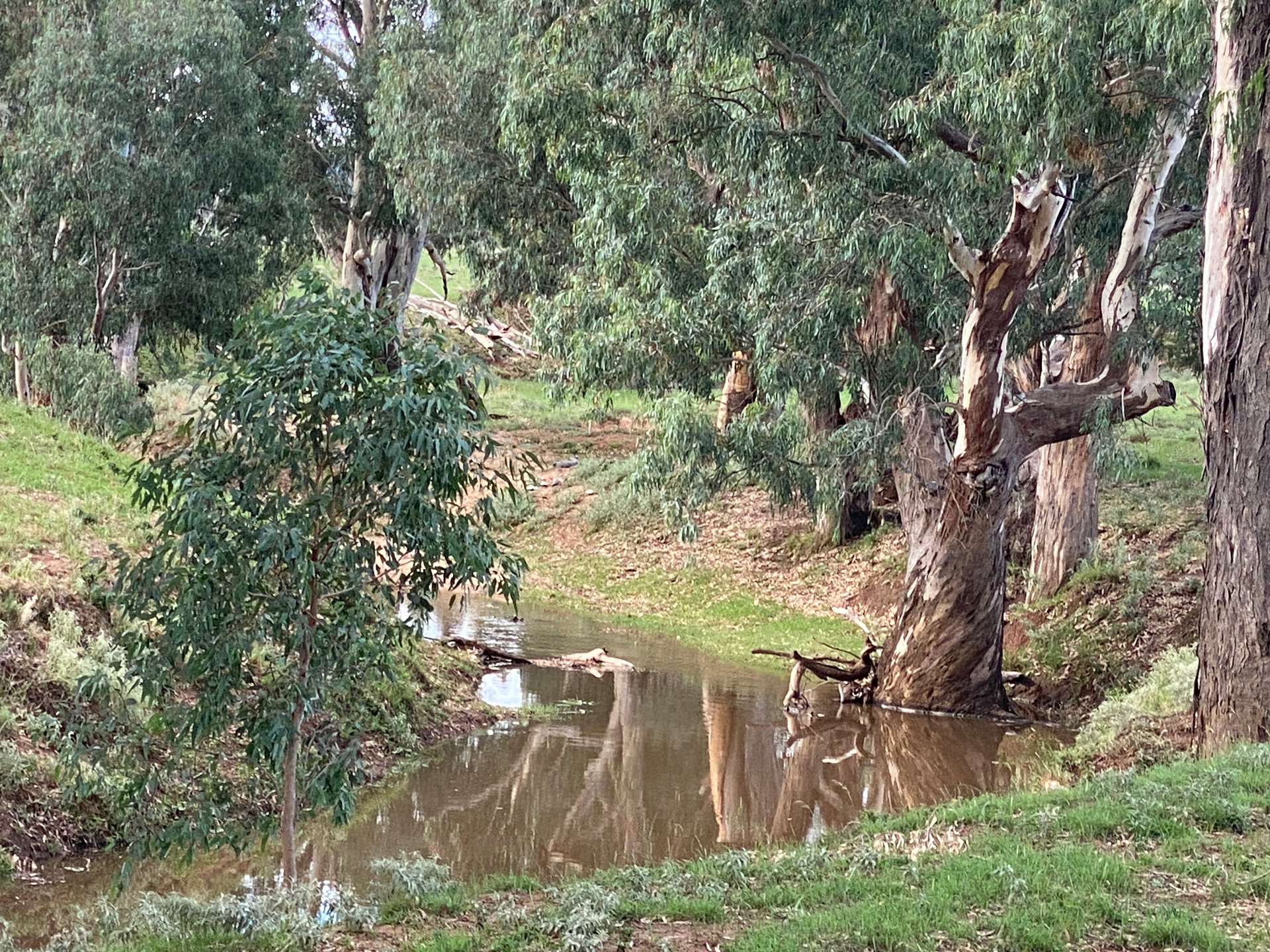 "Middleham" Bushland Bliss Retreat