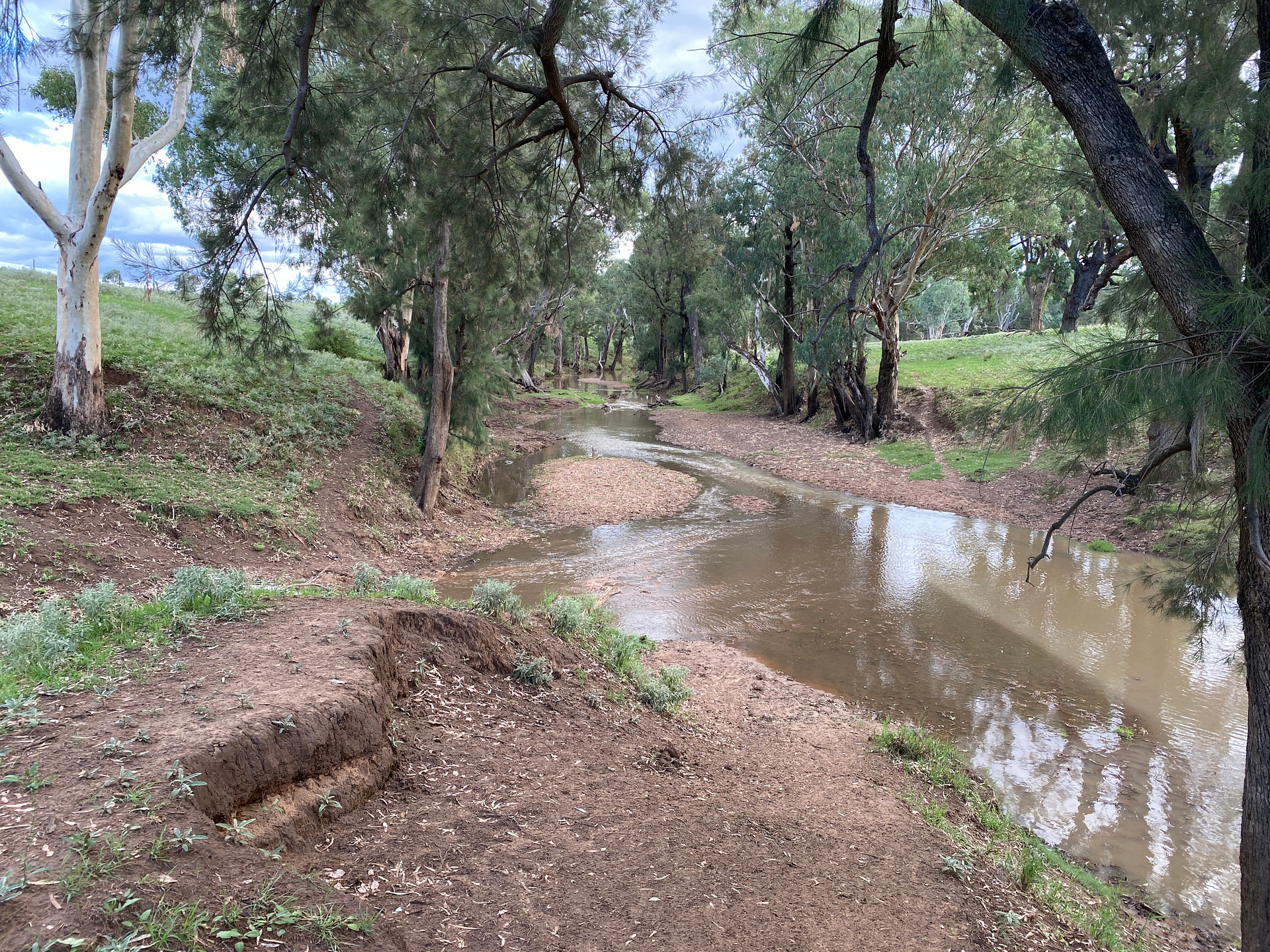 "Middleham" Bushland Bliss Retreat