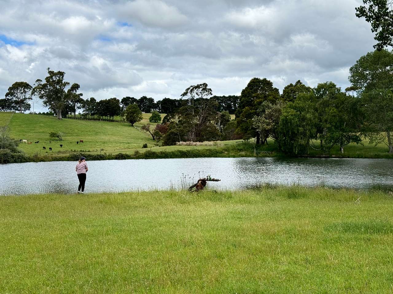 Shep’s Farm