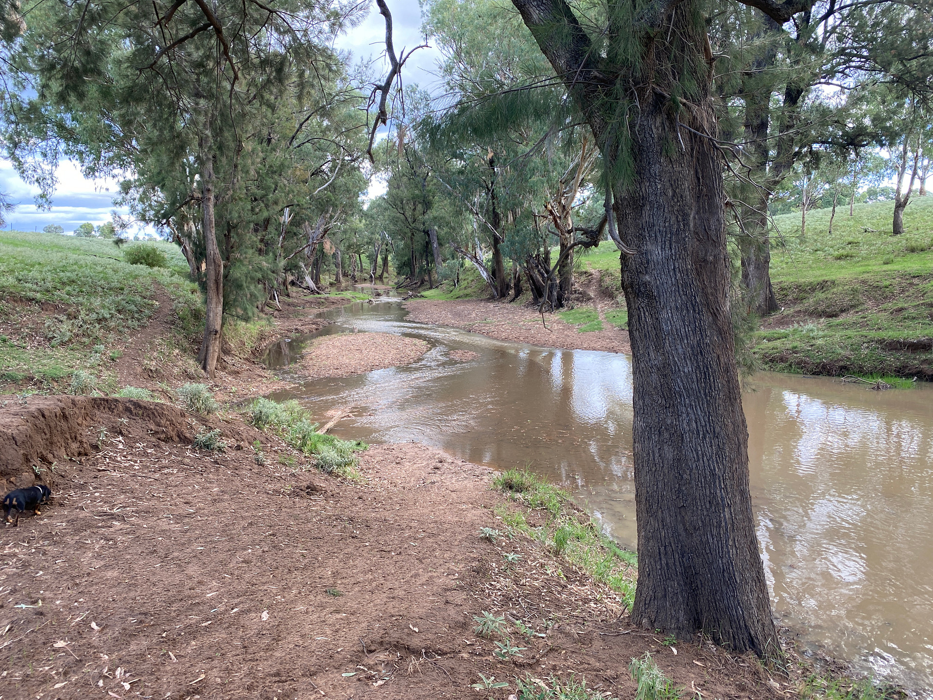"Middleham" Bushland Bliss Retreat