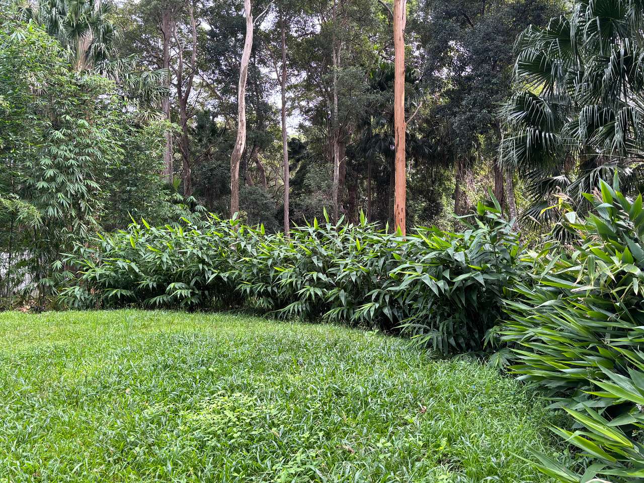 I will soon get a better photo and the lawn is typically mowed short
