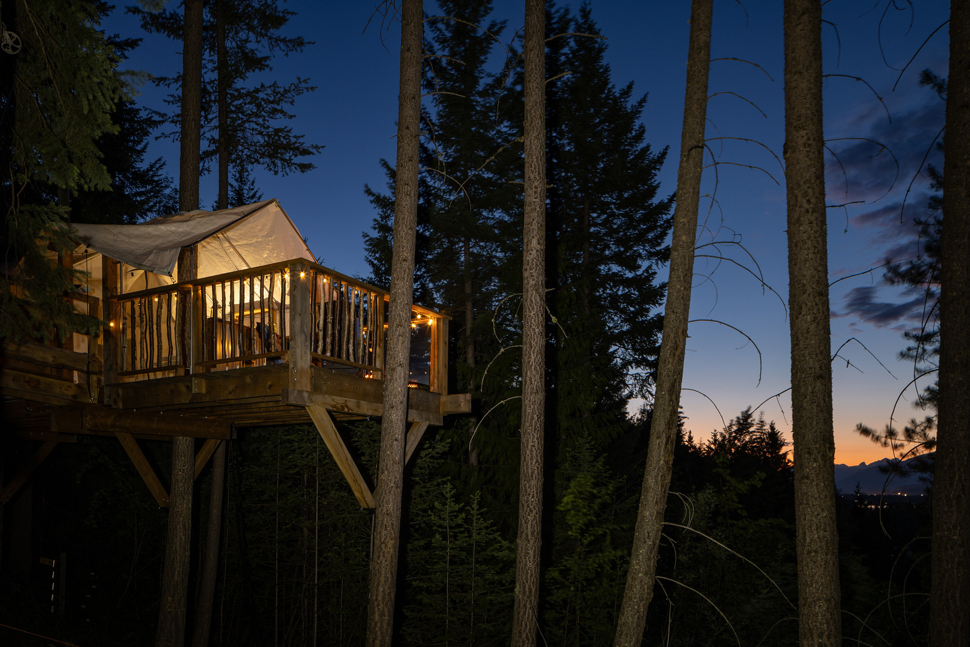 Moonraker Treehouse & Cabins