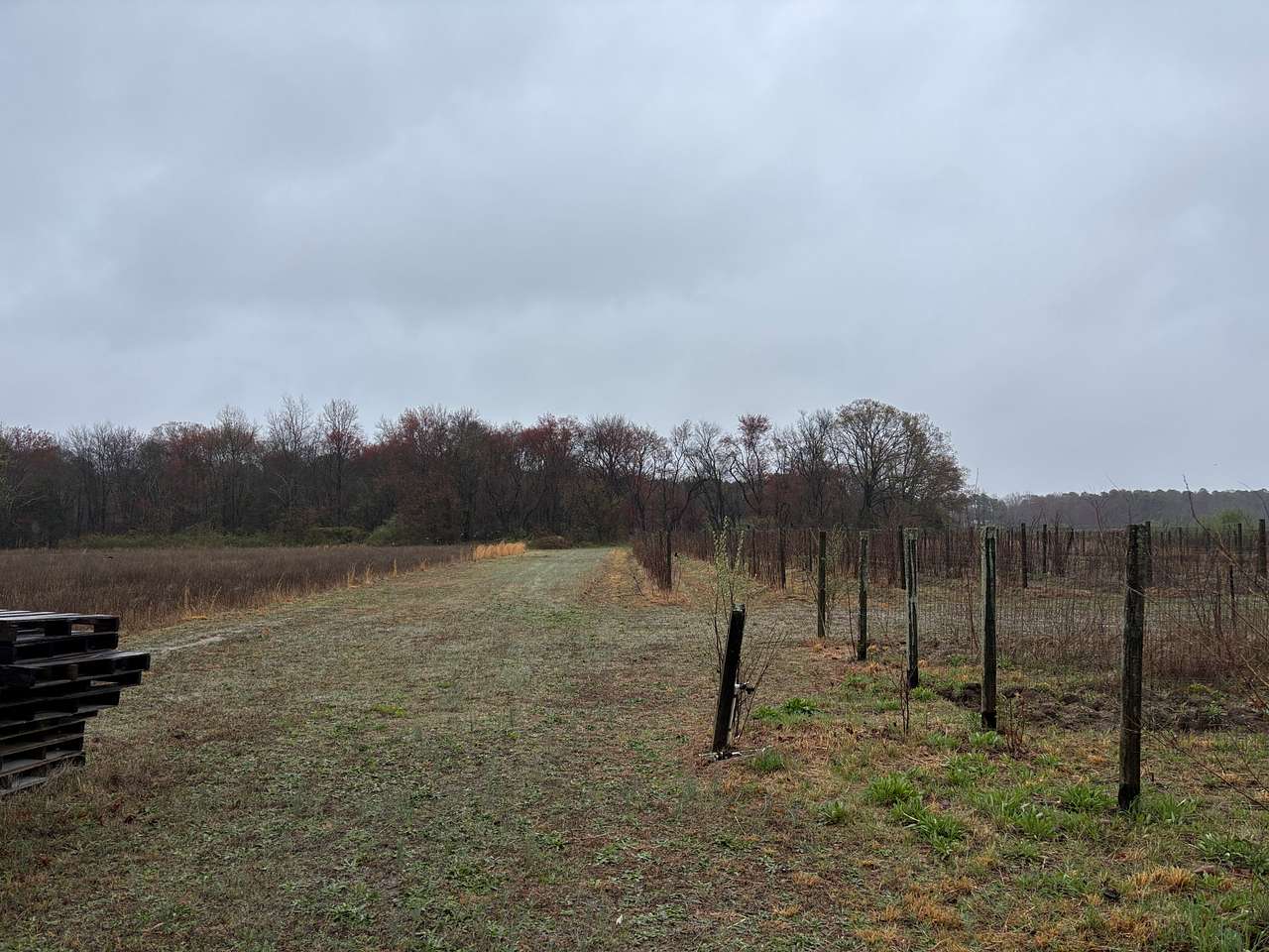 Double Dog Farm