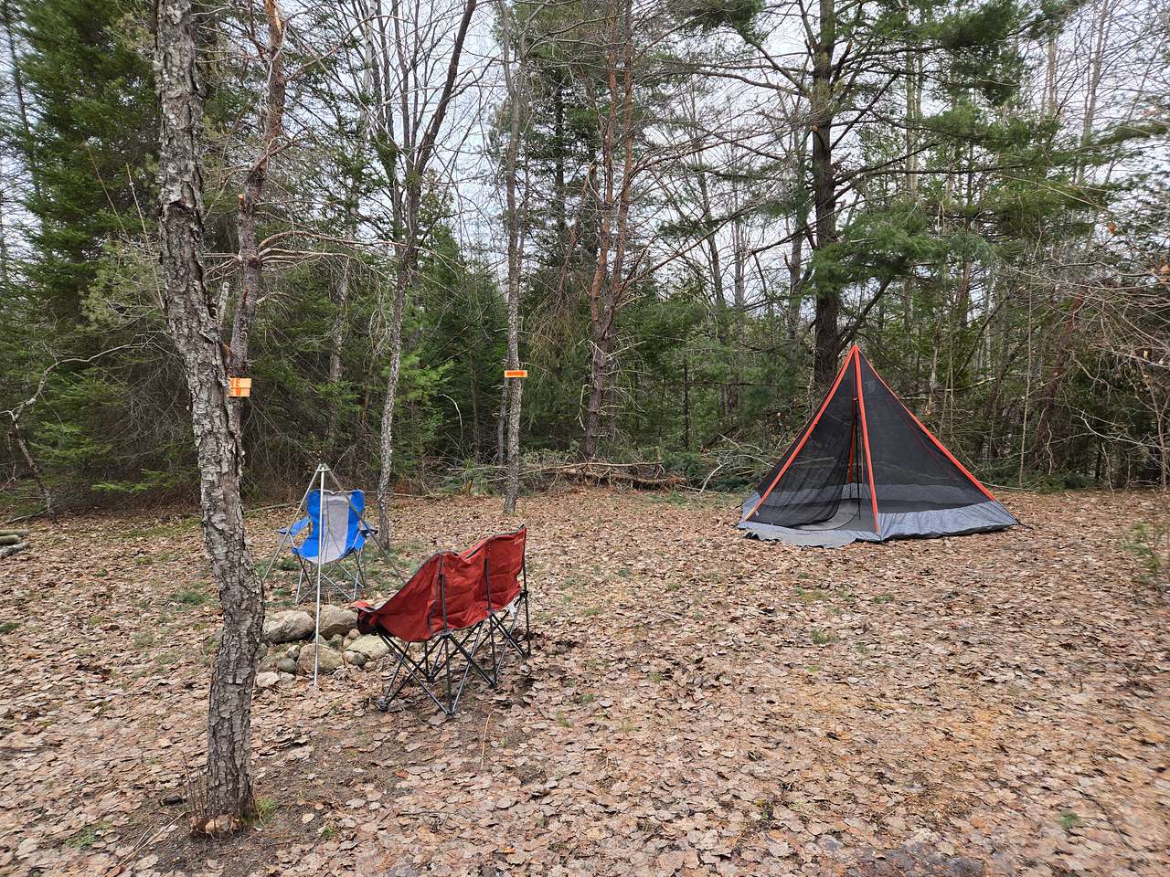 Rooster Ridge