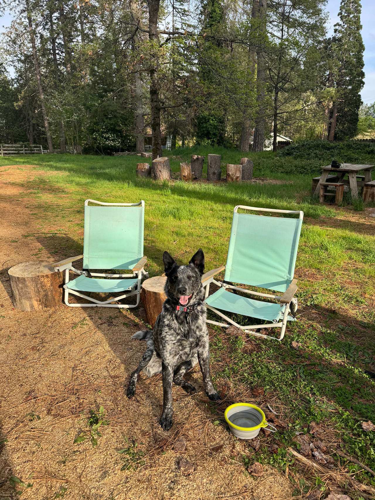 Shady In-Town Creekside Campsite